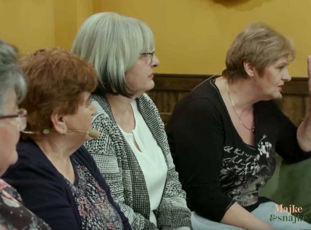 majke i snajke seka aleksic porodica radenovic