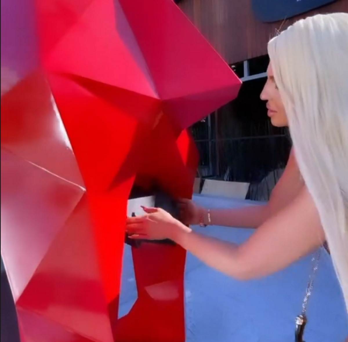 jelena karleusa pipa statuu foto