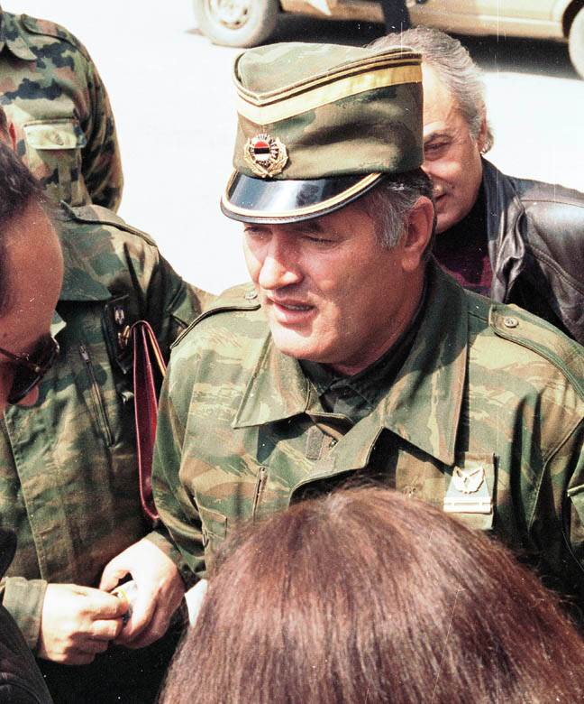 ekspert dobio otkaz zbog podrske ratku mladicu