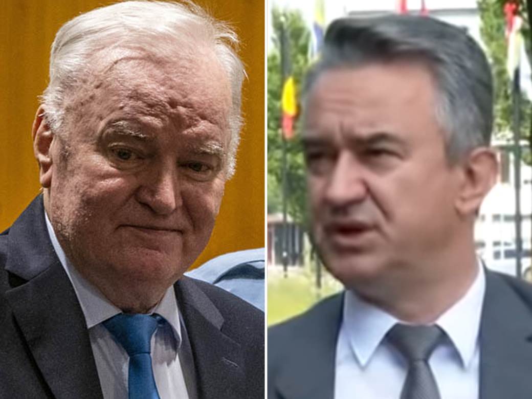Ko su deca Ratka Mladića