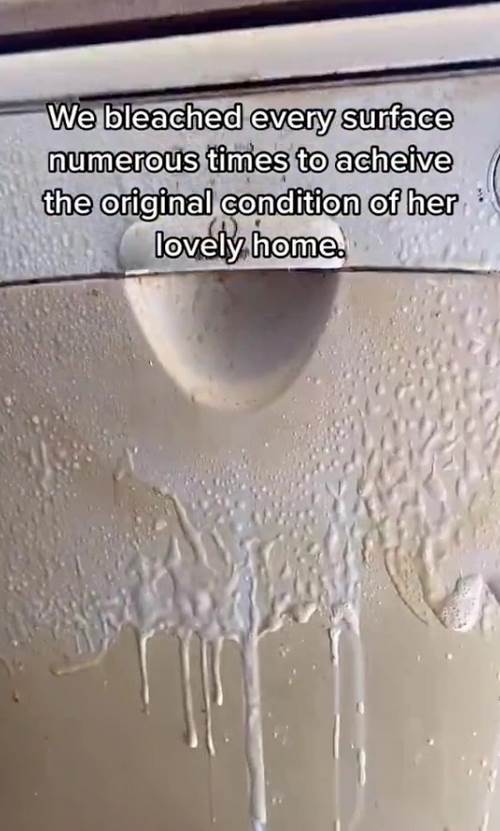 stan pusaca fleke ciscenje