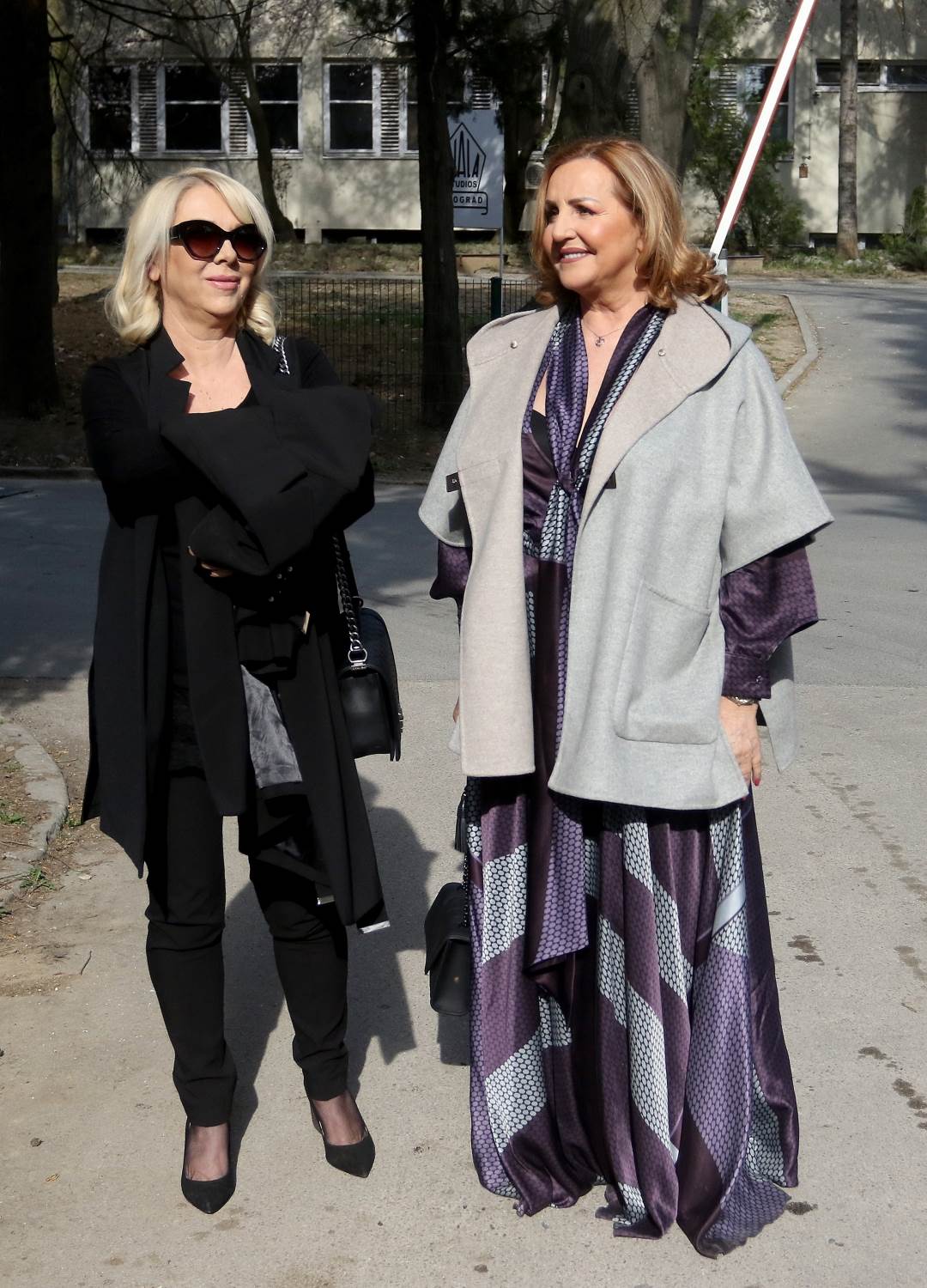 zeljko mitrovic prva zena pevacica sonja mitrovic hani