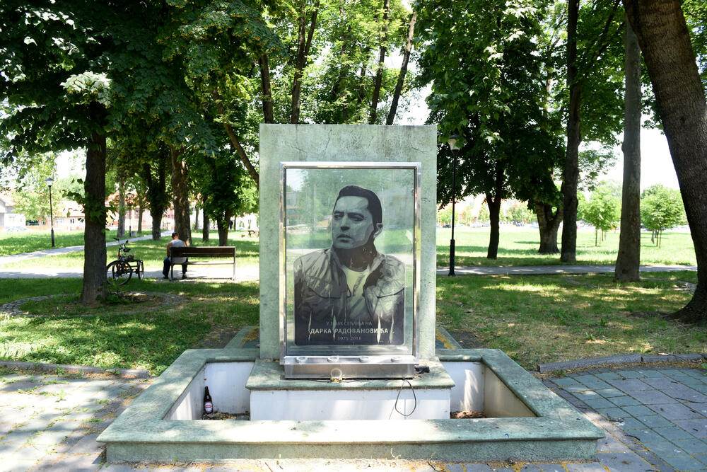 Šta se dešava sa porodicom Darka Radovanovića?