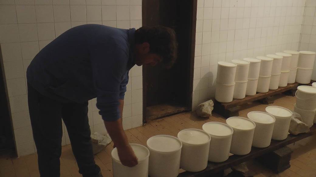 najvece stado ovaca na balkanu pester