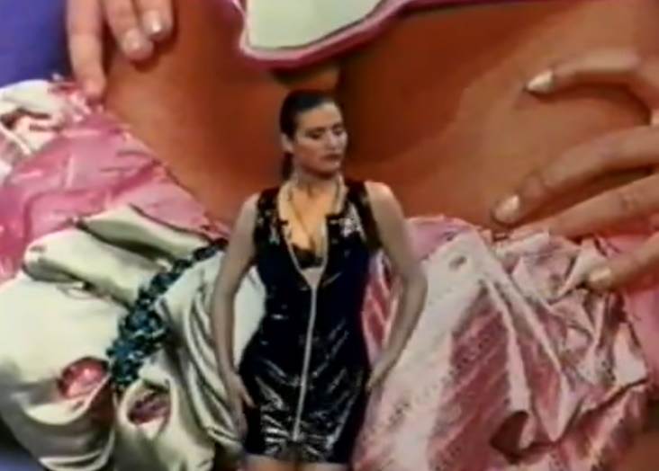 ceca raznatovic 18. rodjendan slike