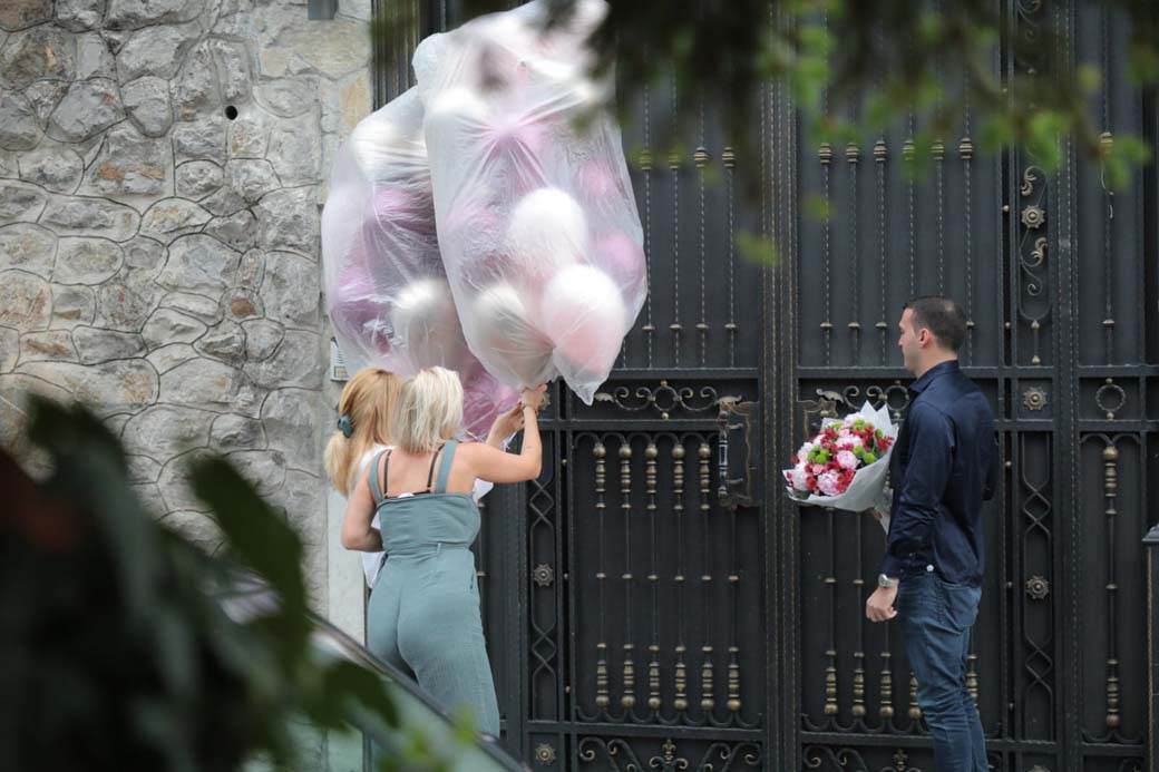 ceca raznatovic rodjendan anastasija raznatovic sa deckom