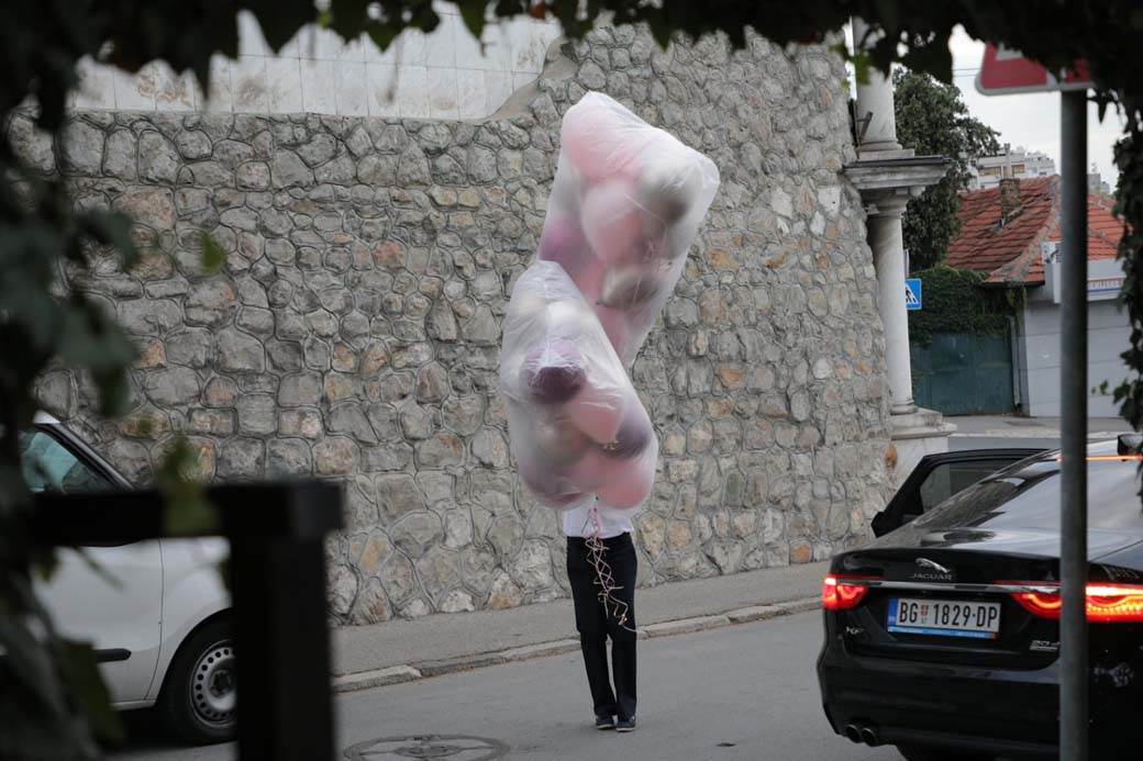 ceca raznatovic rodjendan anastasija raznatovic sa deckom