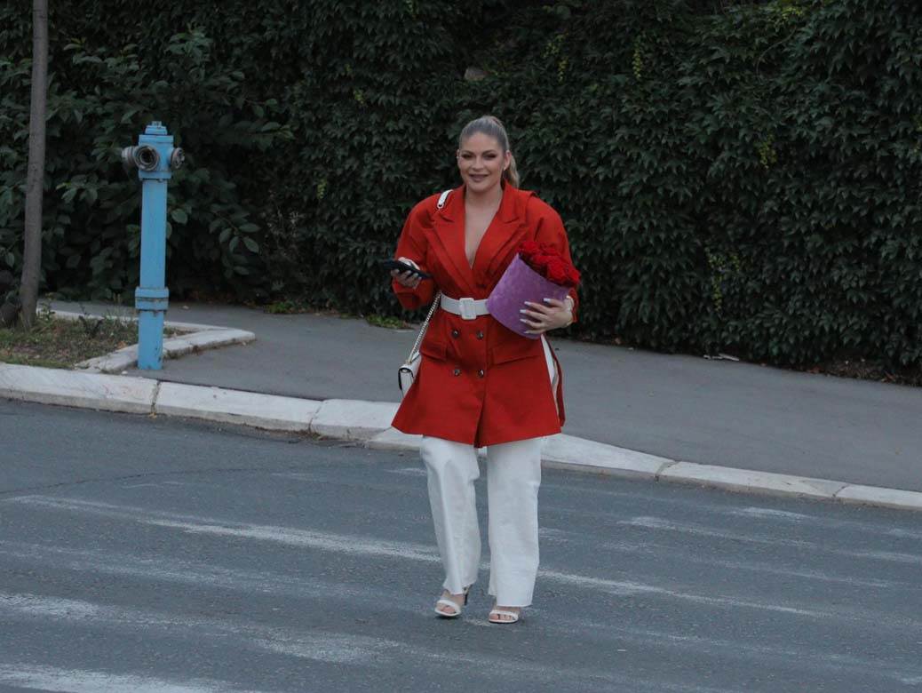 ceca raznatovic rodjendan dekoracija