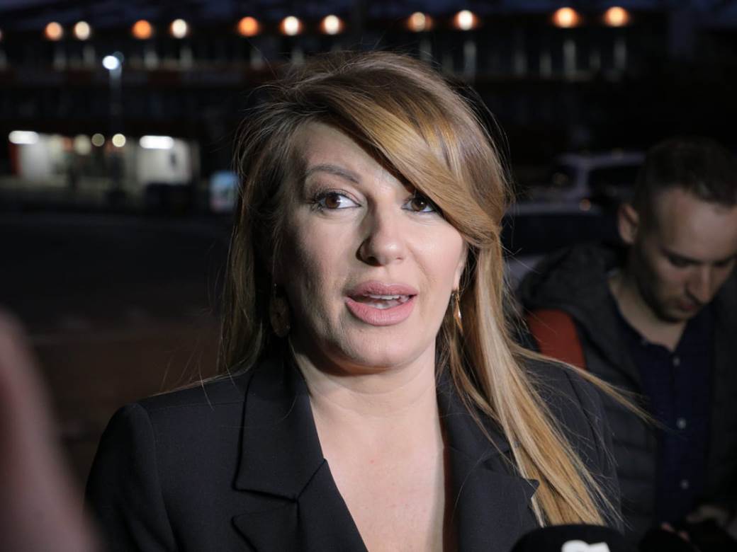 ceca raznatovic rodjendan iznenadjenje