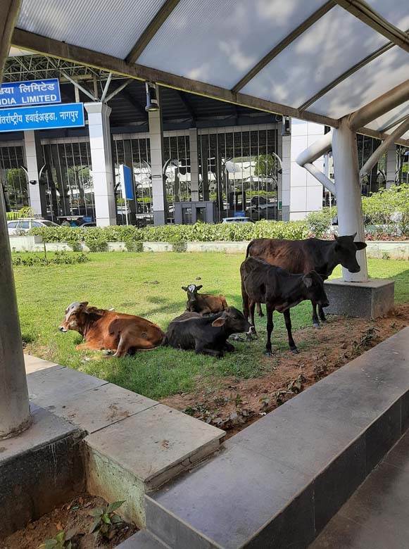 srbin u indiji ispovest