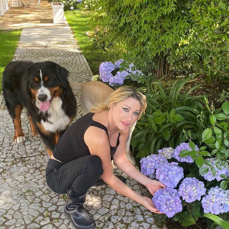 novinarka gacice euro ferari