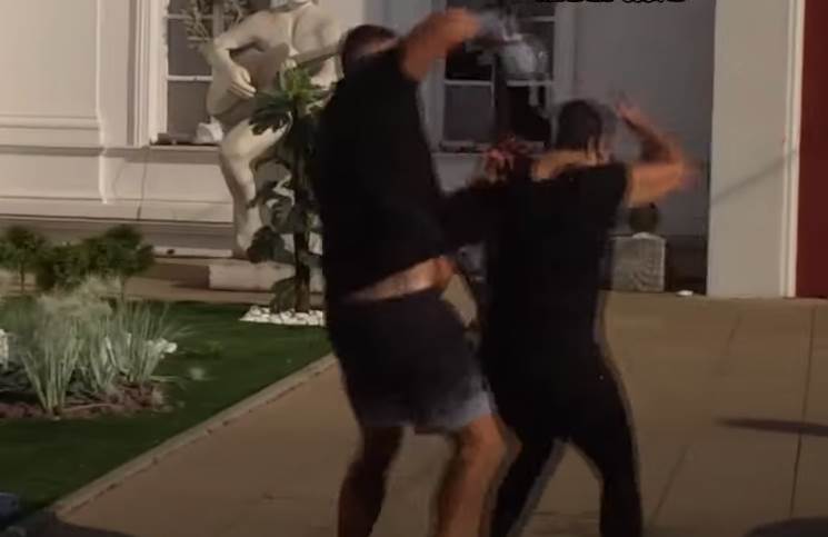 kristijan gurnuo miljanu u bazen zadruga