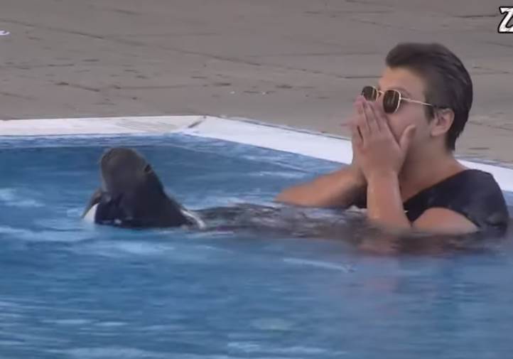 kristijan gurnuo miljanu u bazen zadruga