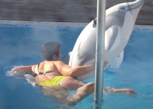 Miljana naskače na delfina u bazenu video
