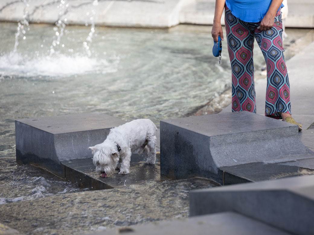 najtopliji dan u godini meteorolog nedeljkovic