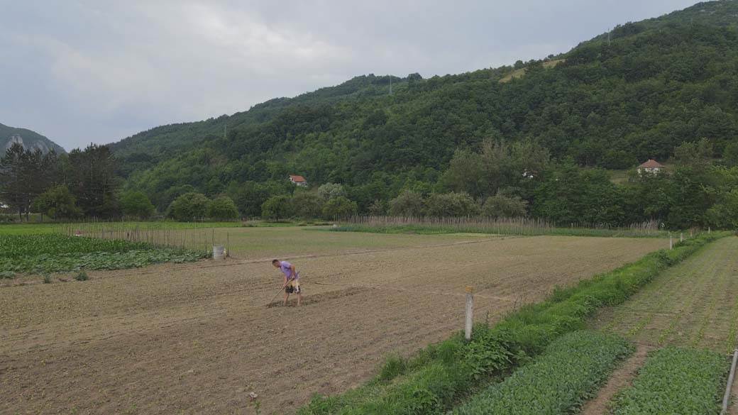zarada paprika prijepolje