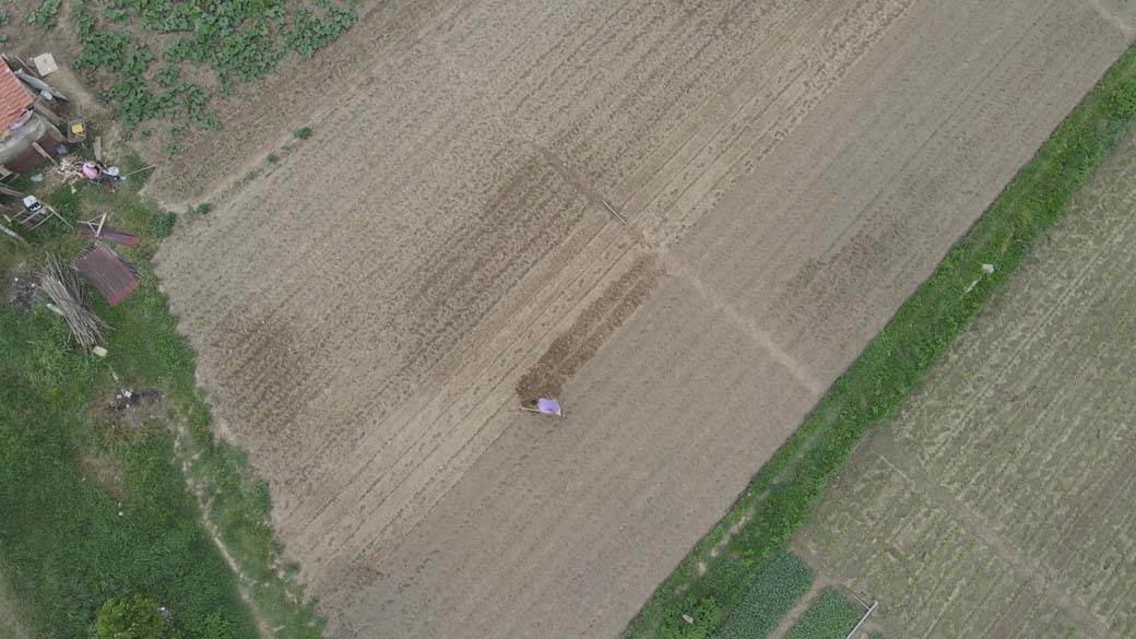 zarada paprika prijepolje