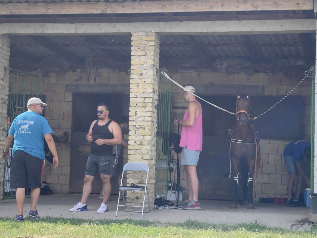 Nikola Jokić objasnio zašto voli konje