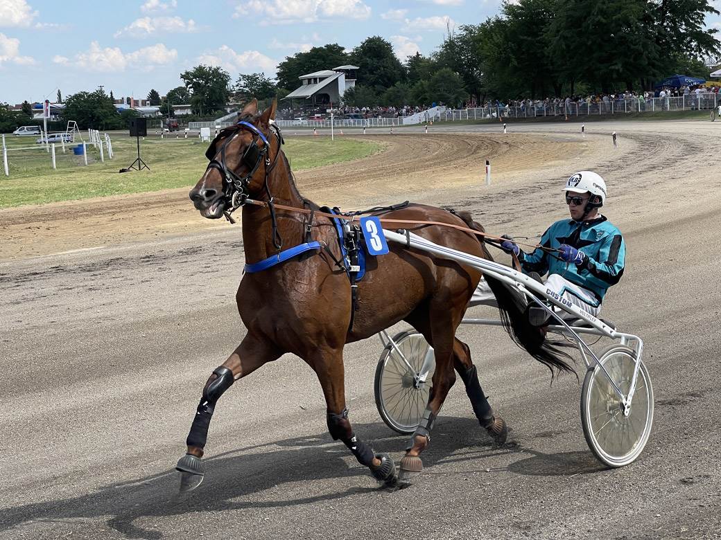 Nikola Jokić objasnio zašto voli konje