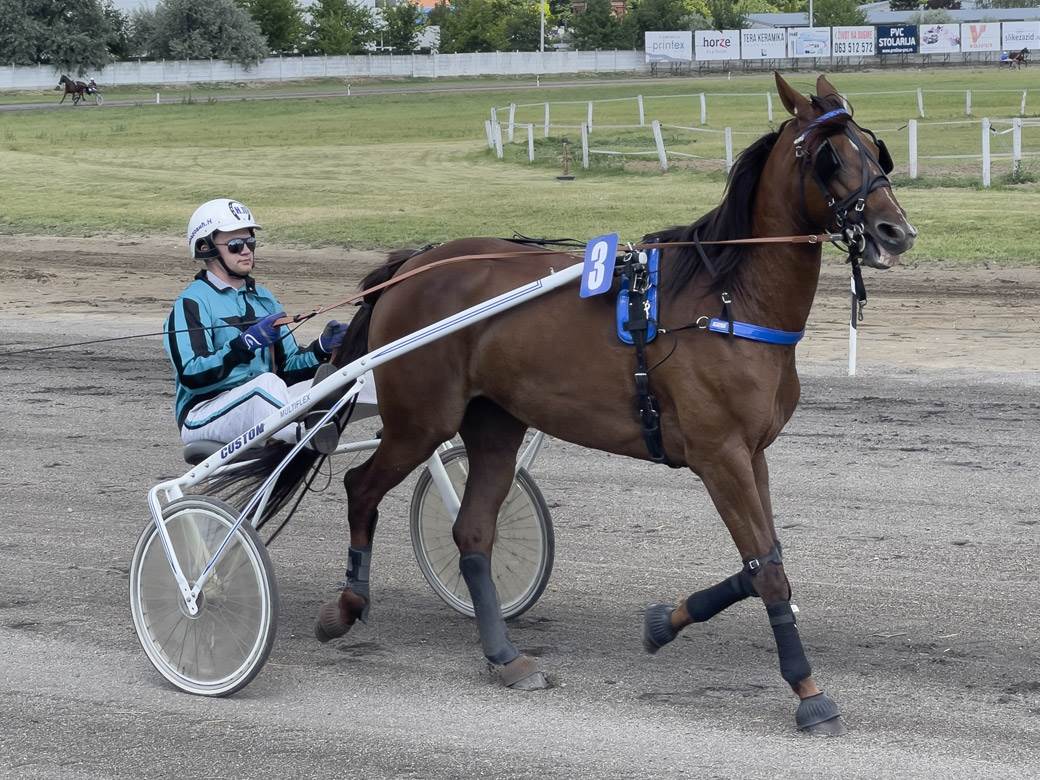 Nikola Jokić objasnio zašto voli konje
