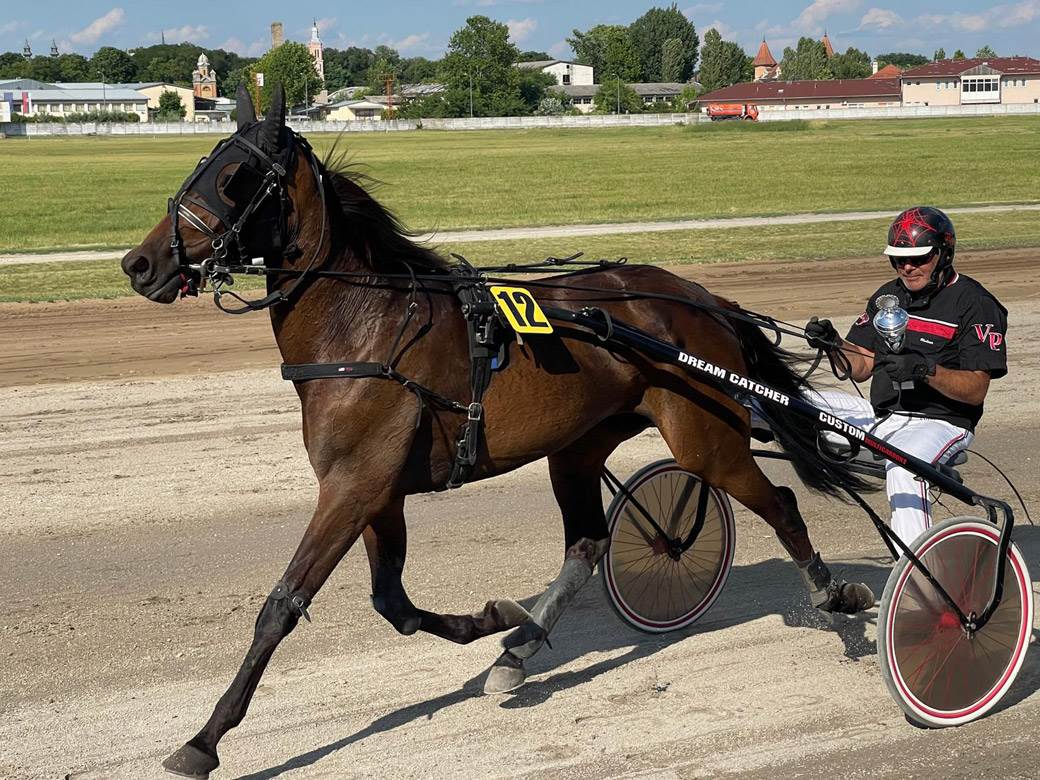 Nikola Jokić objasnio zašto voli konje