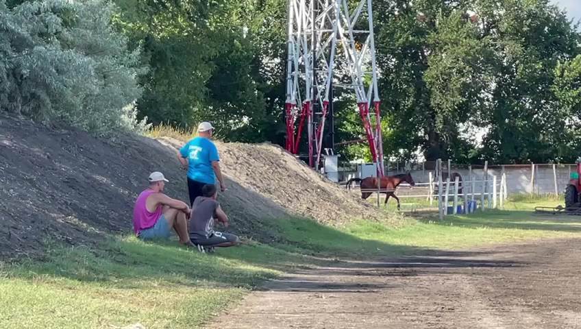 Nikola Jokić objasnio zašto voli konje