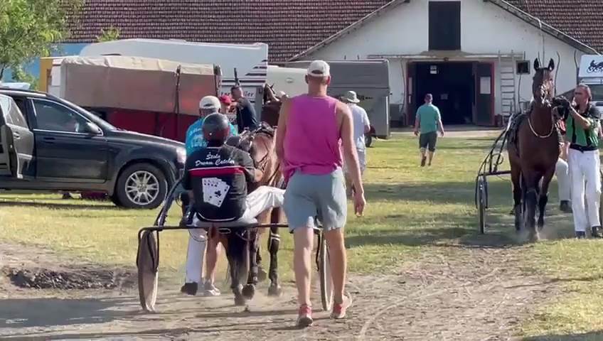 Nikola Jokić objasnio zašto voli konje