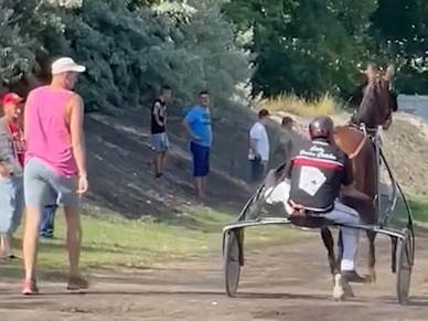 Nikola Jokić objasnio zašto voli konje