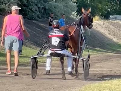 Nikola Jokić objasnio zašto voli konje