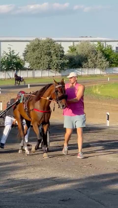 Nikola Jokić objasnio zašto voli konje