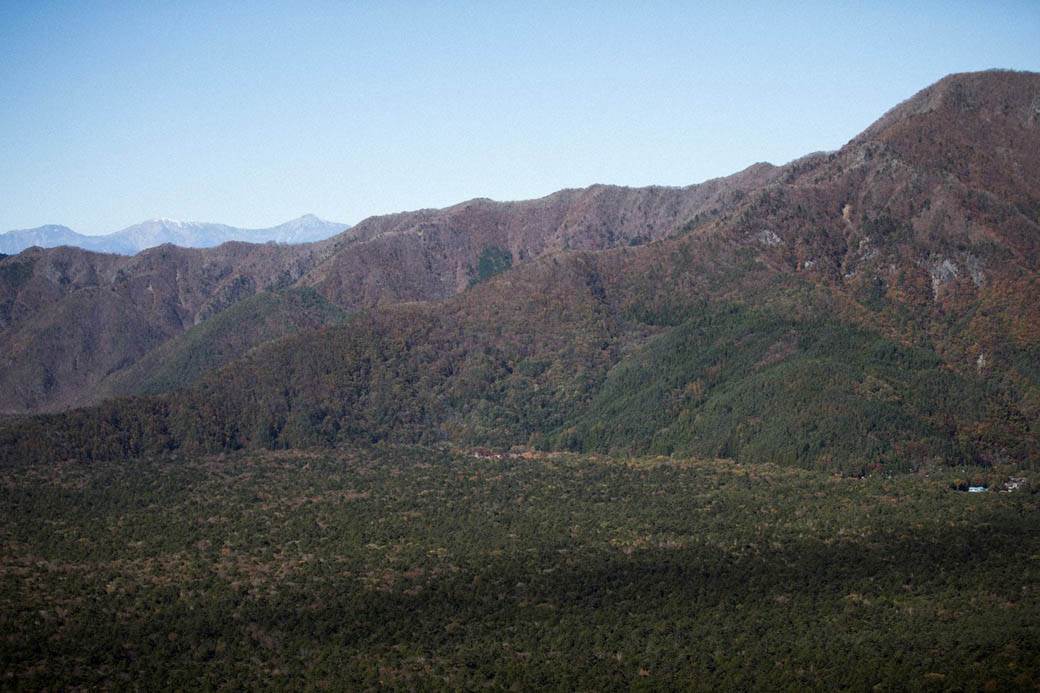šuma u Japanu samoubistvo