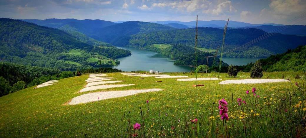 mladic zapoceo biznis