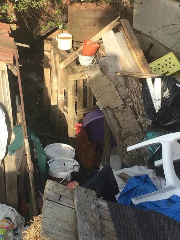 senta dvoriste deponija horder