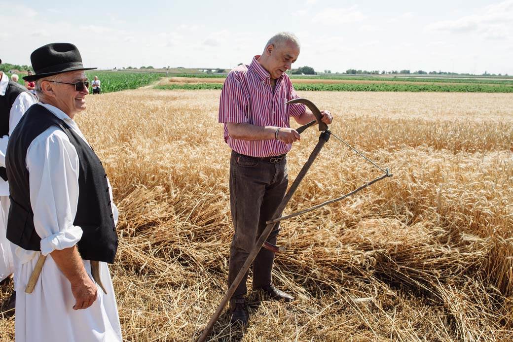 nacionalni praznik bunjevaca subotica