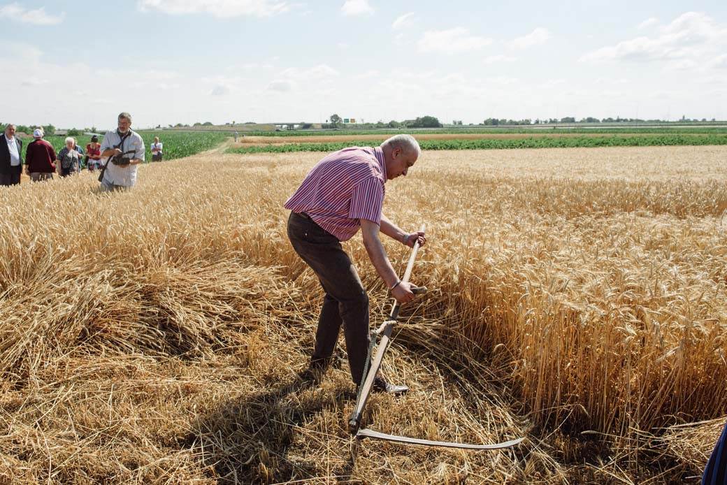 nacionalni praznik bunjevaca subotica
