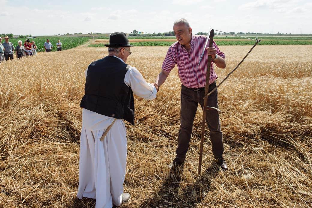 nacionalni praznik bunjevaca subotica