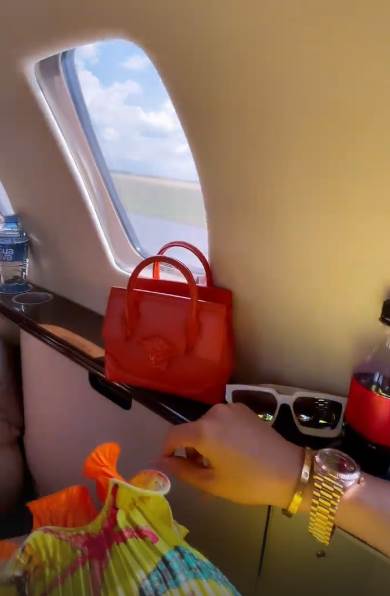 jelena karleusa sofija vergara ista haljina