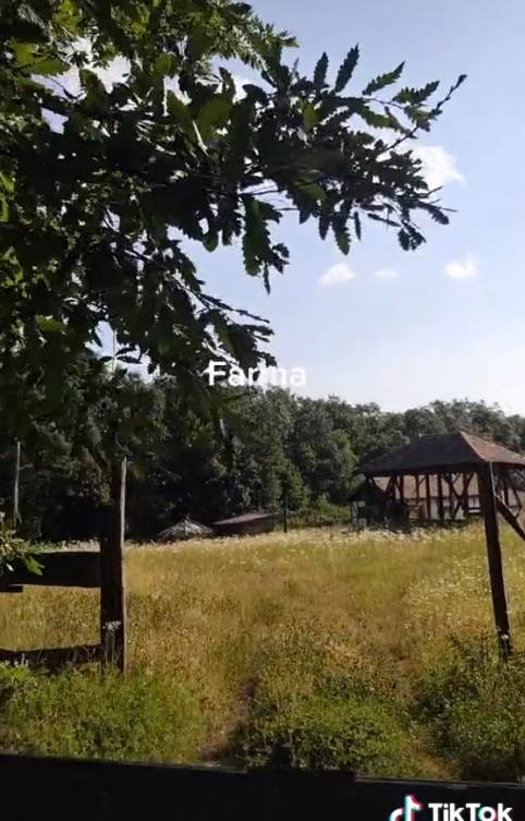 farma kuca u lisovicu video