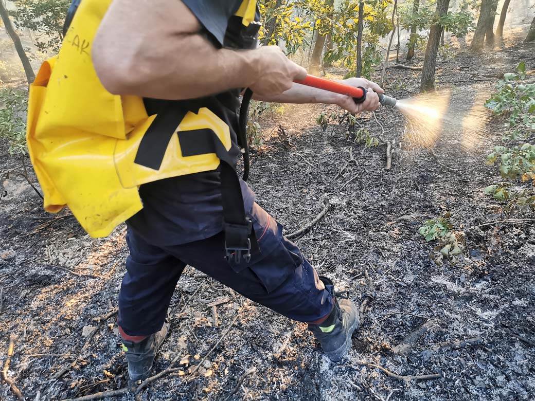 požar u šumi kod čačka