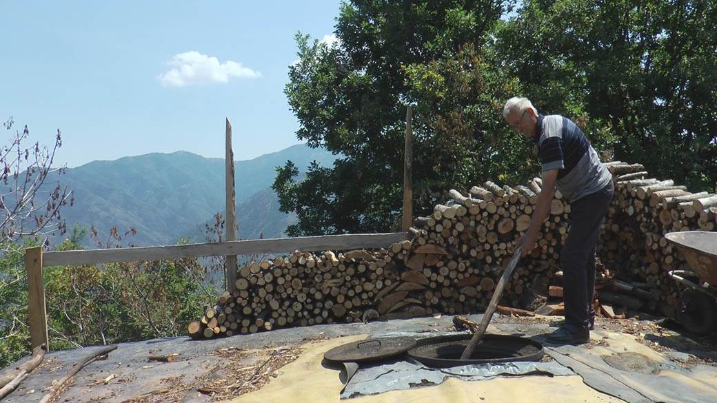 zemlja za džabe besplatno