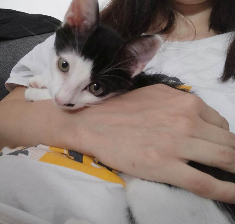 kako danas izgleda mače iz zadruge