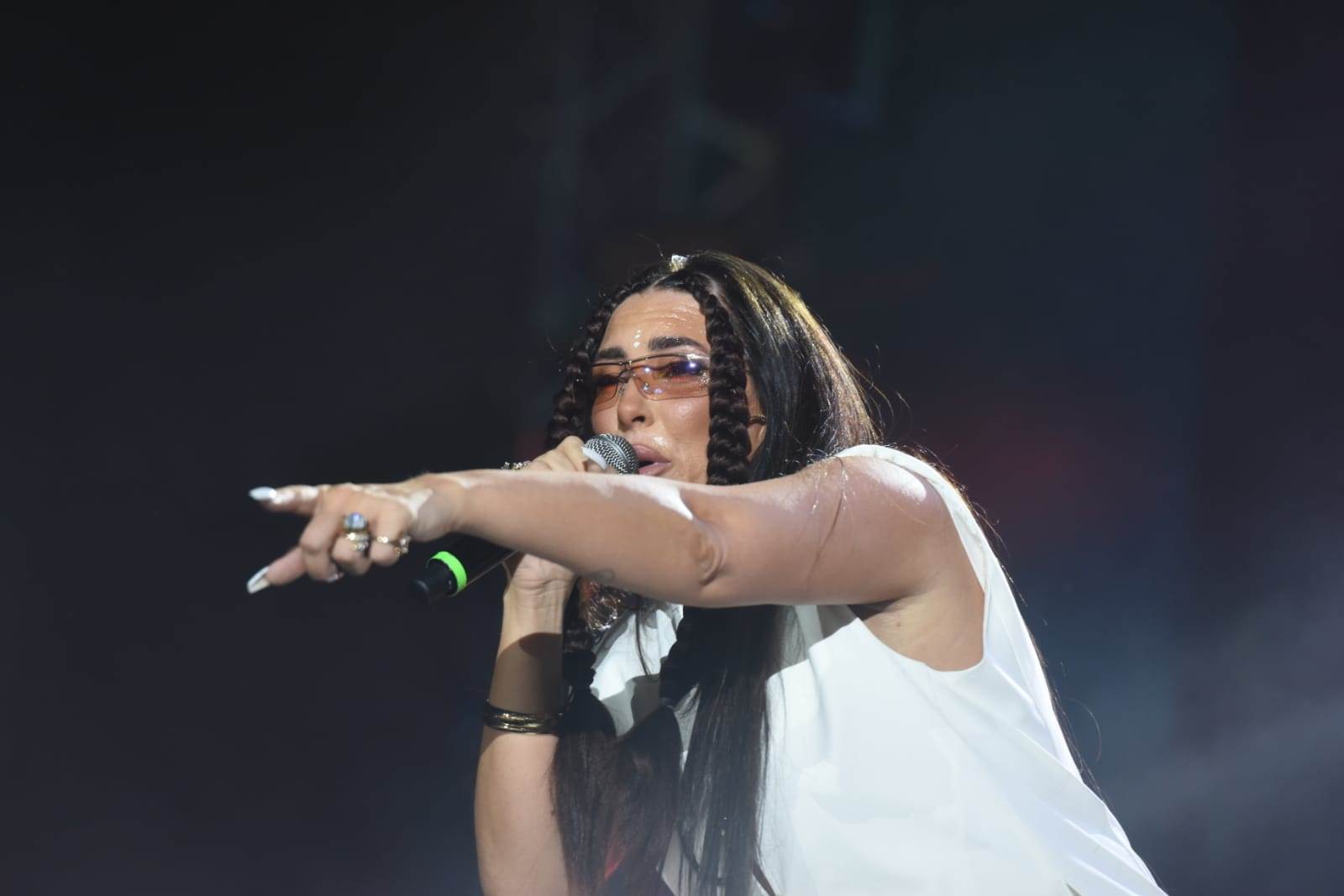 exit stranac upao u dunav