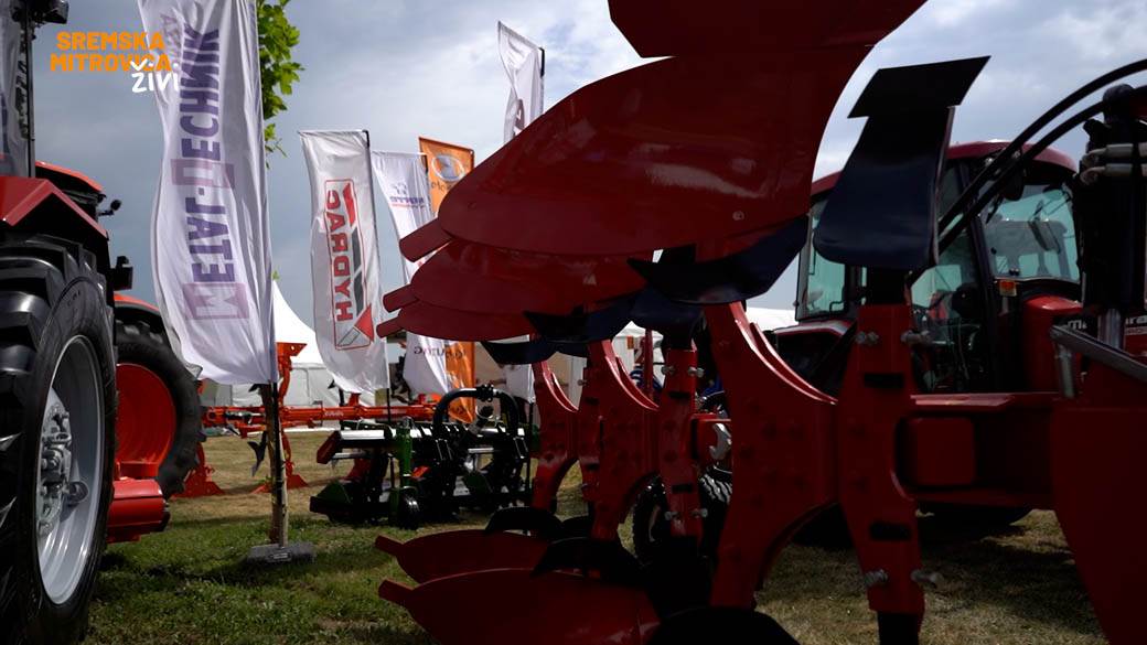 sremska mitrovica branislav nedimovic intervju