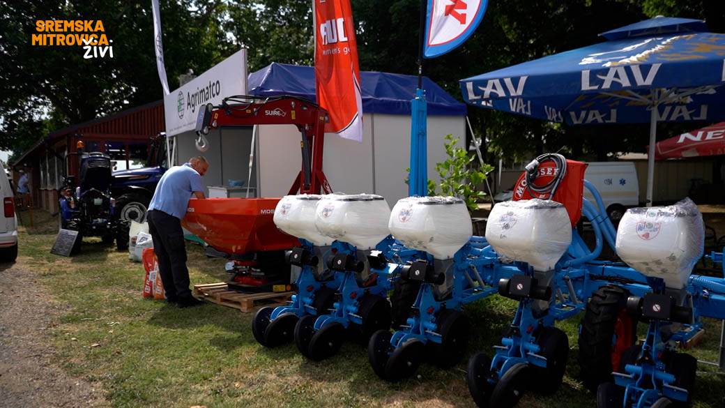 sremska mitrovica branislav nedimovic intervju