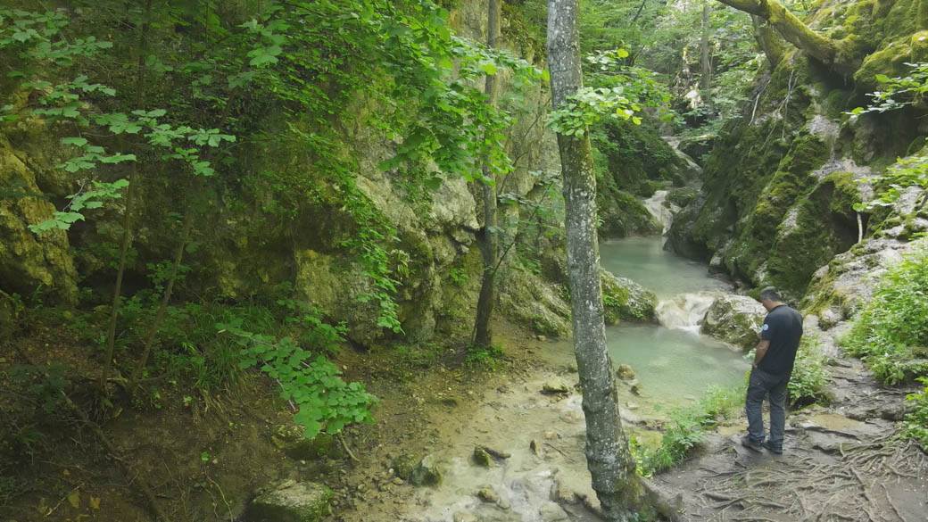 banjiski potok ovcar video 