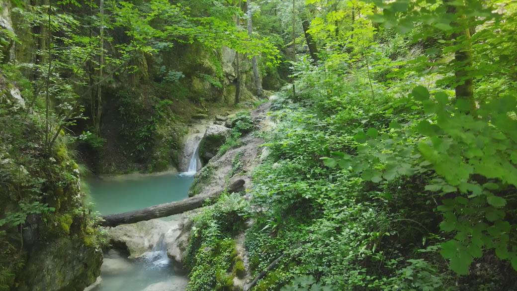 banjiski potok ovcar video 