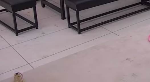 zadruga nakon finala