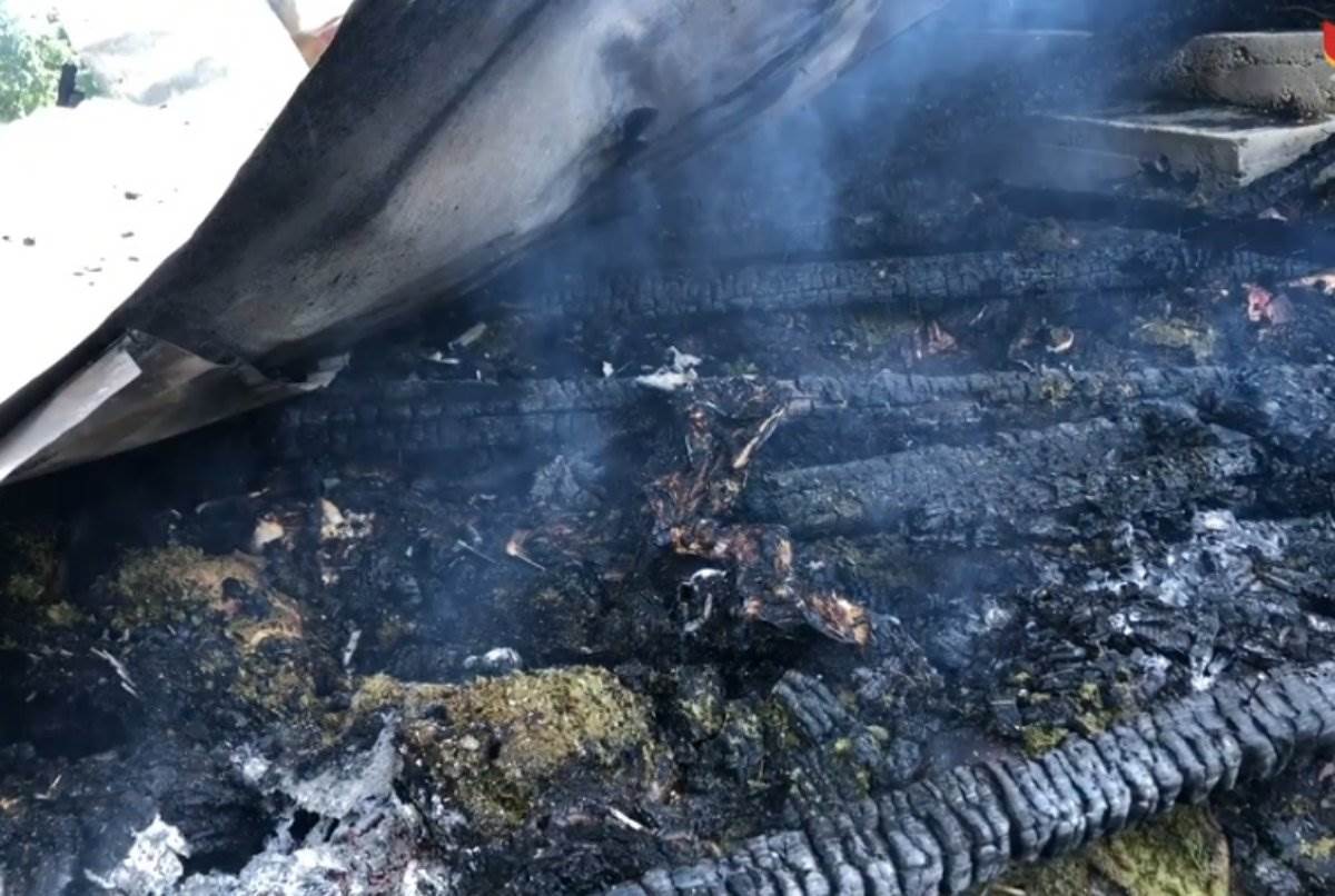 niksic izgorelo 300 koza na farmi 