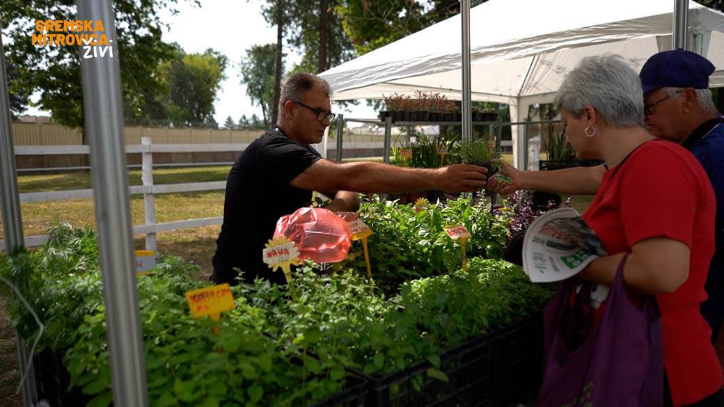 sremska mitrovica sajam poljoprivrede