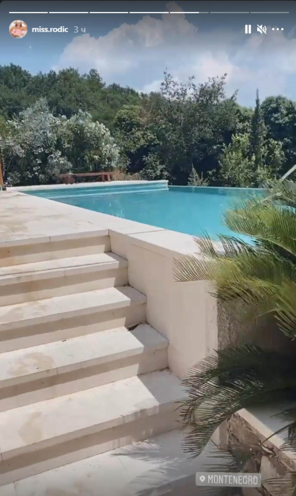 natasa rodic sestra bogdana raznatovic